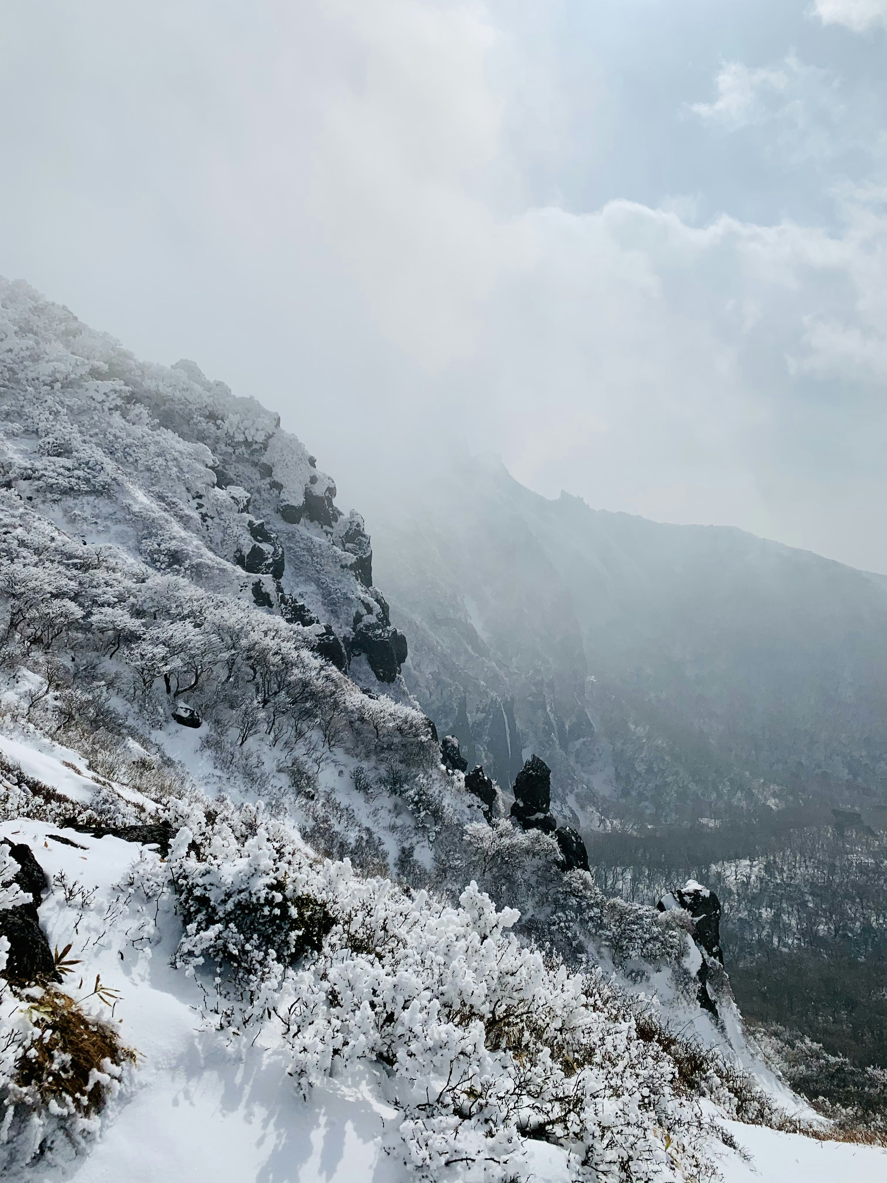 Photo by ashley_hayes