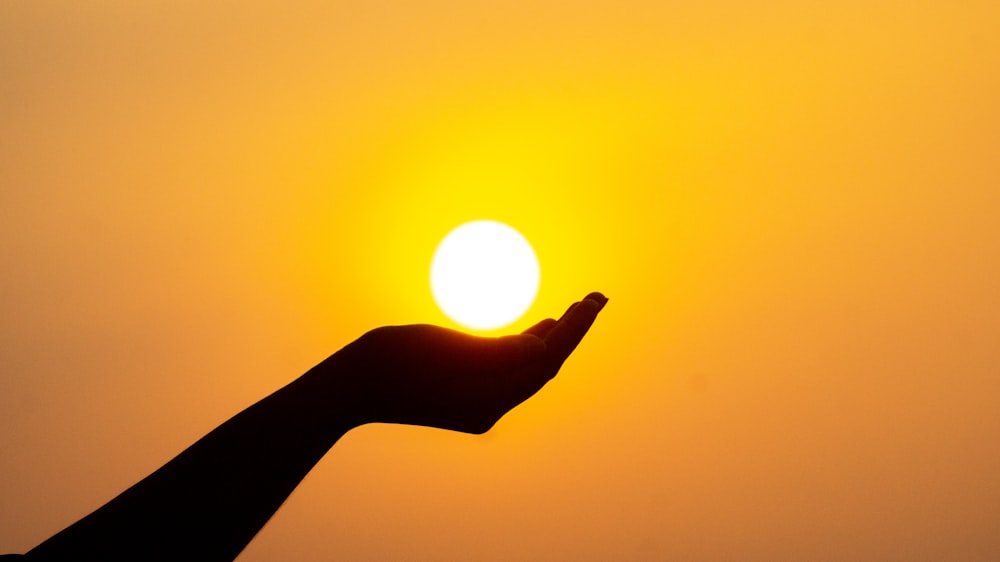 silhouette of persons hand during sunset