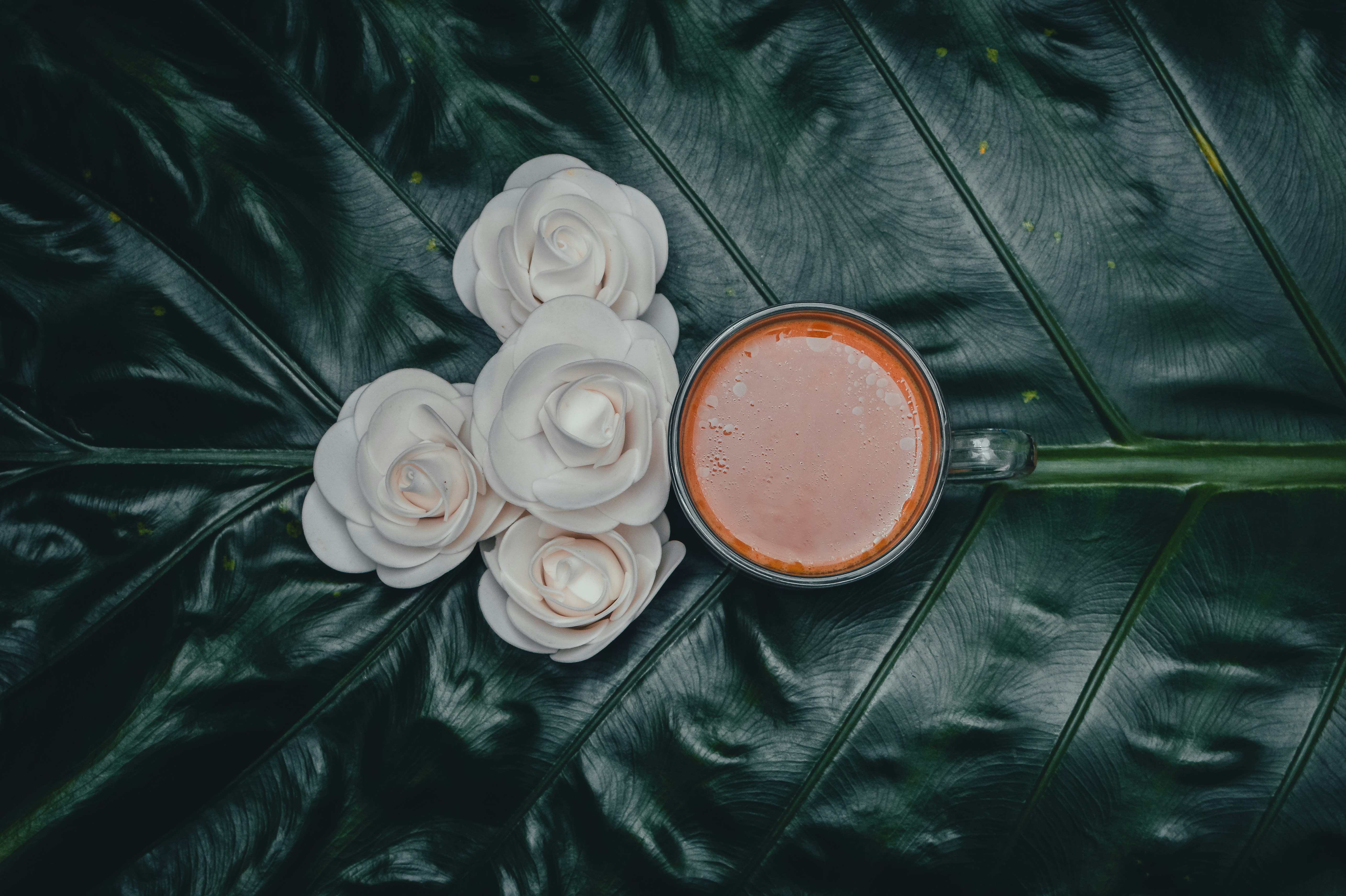 white flower beside brown round container