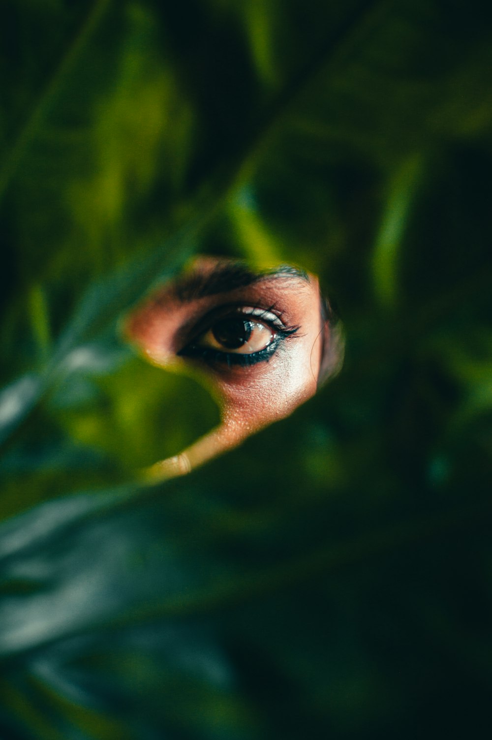 womans face in green leaves