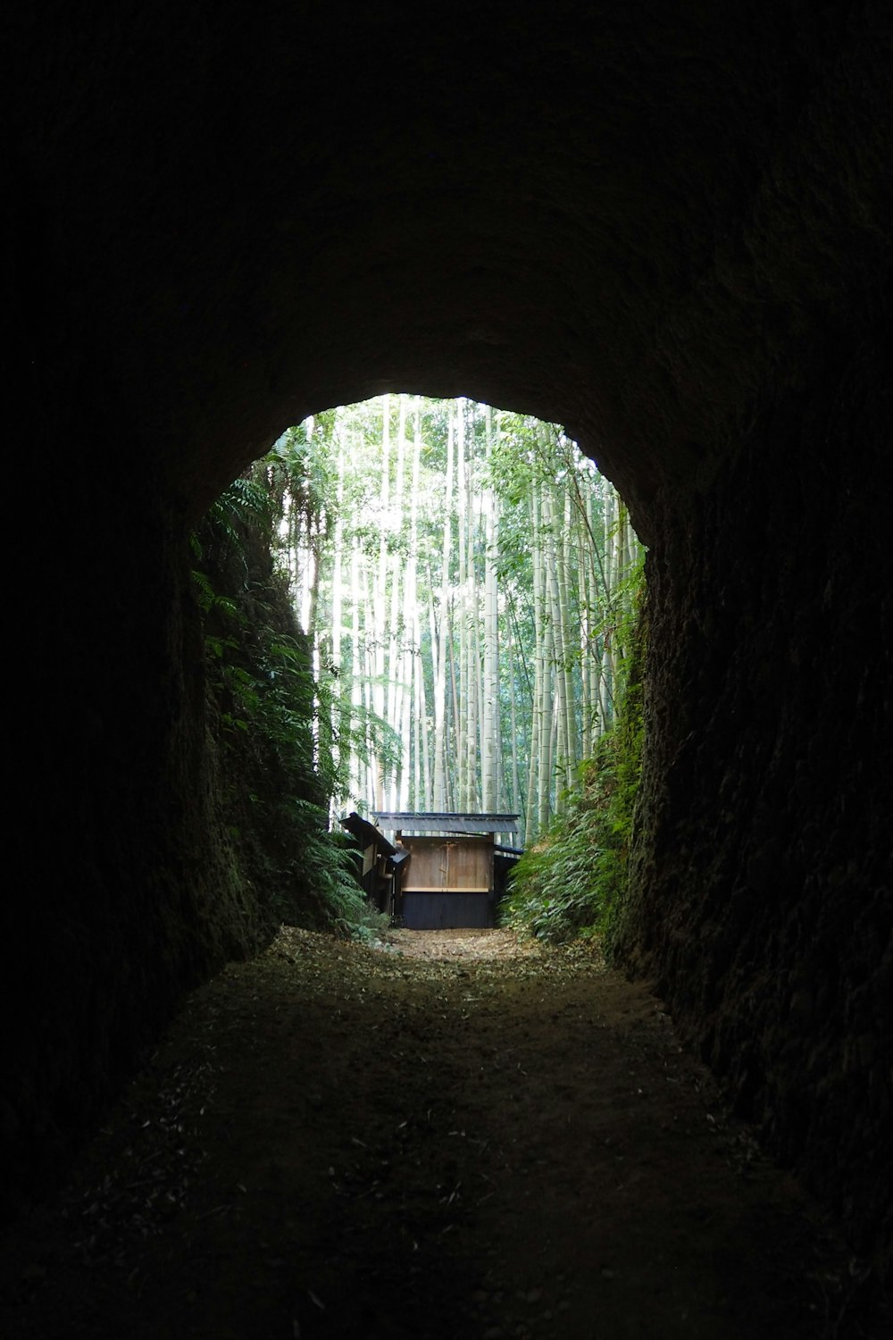 brown wooden bench in the middle of the tunnel