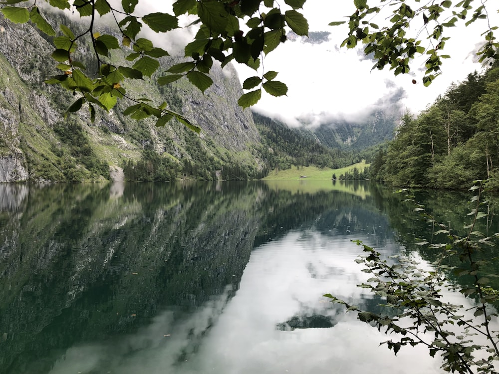 grüner und grauer Berg am Fluss tagsüber