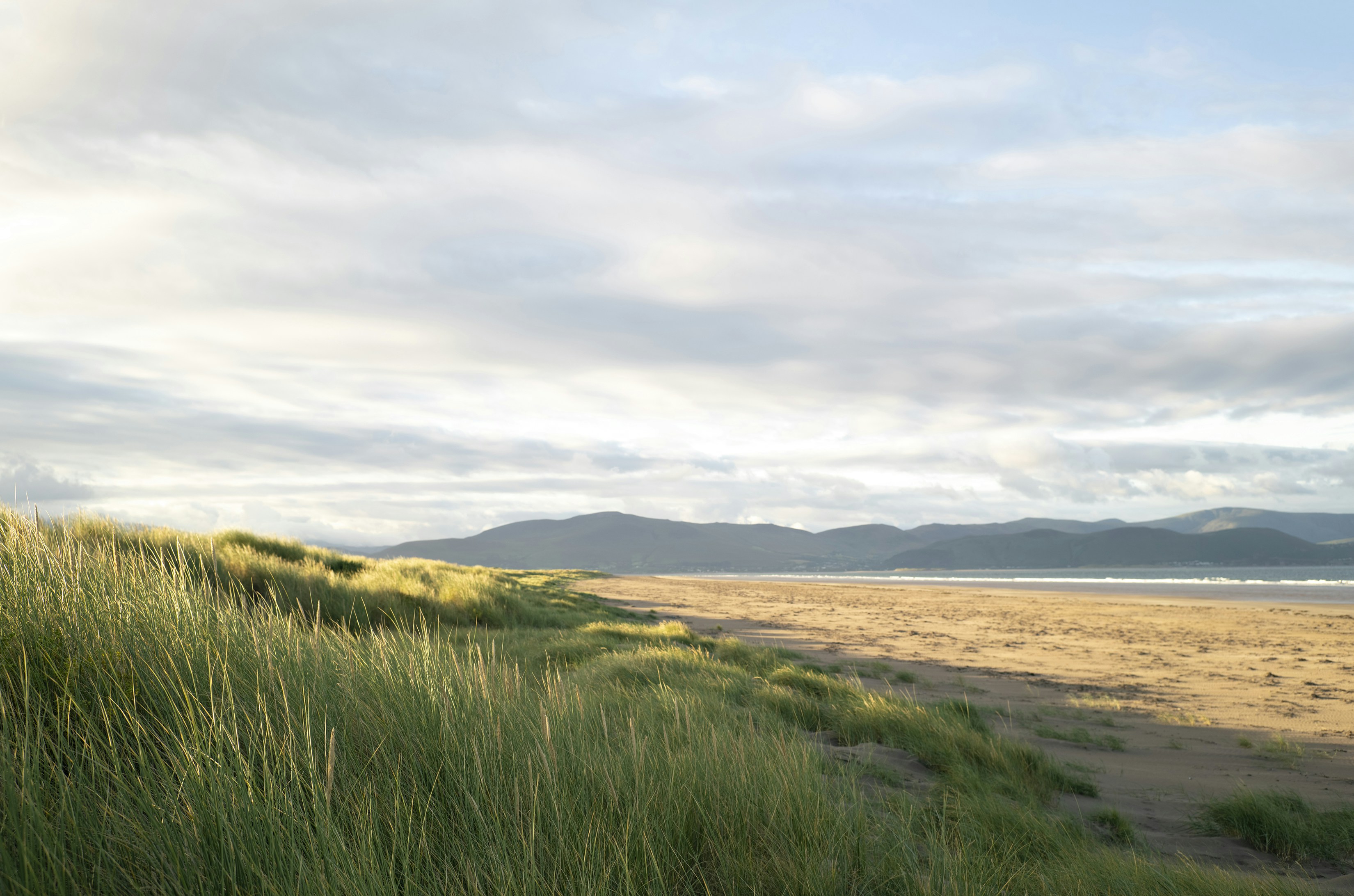 Green grass field near body of water under white clouds during daytime ...