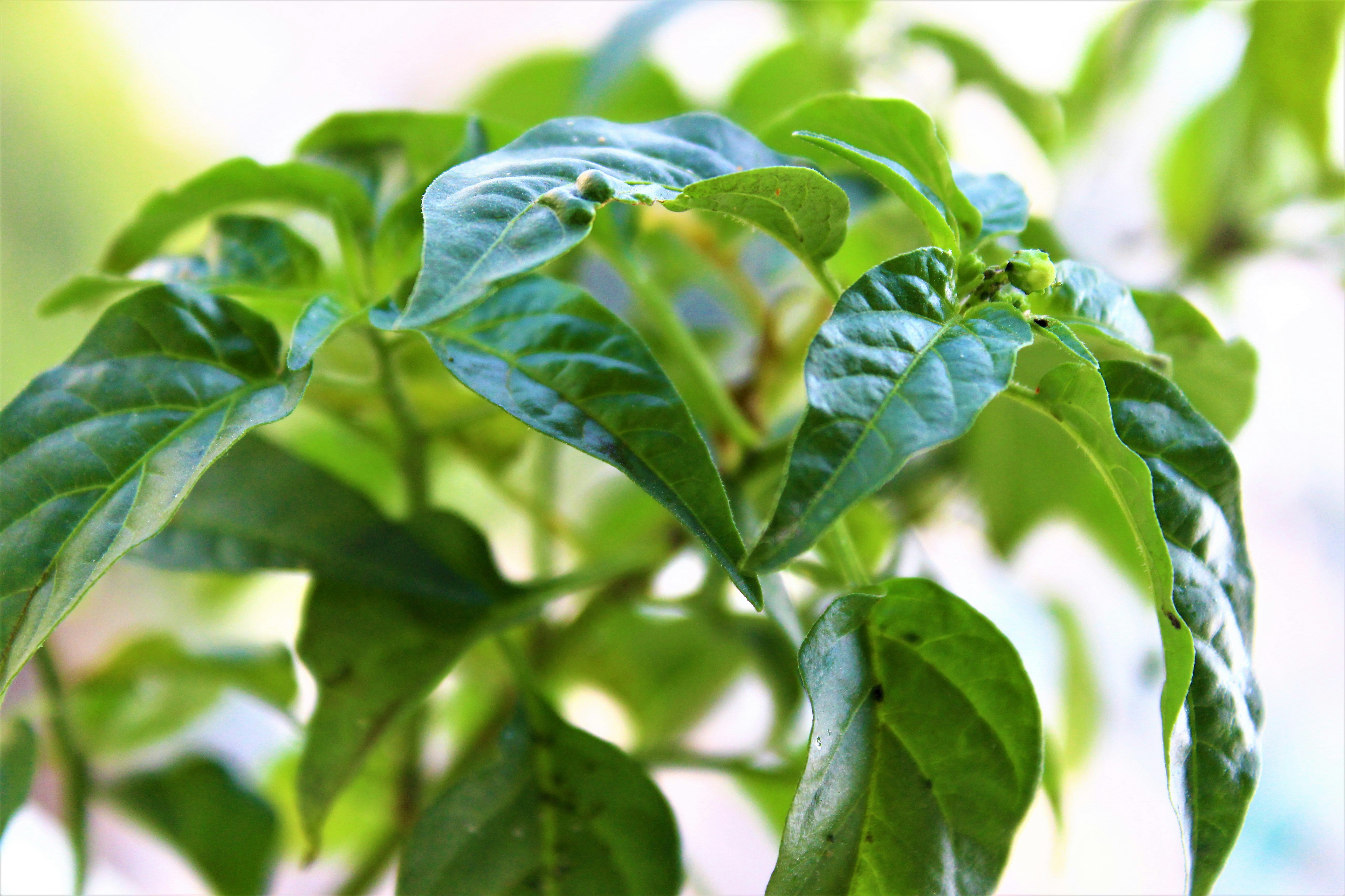 Photo by yora_dreams