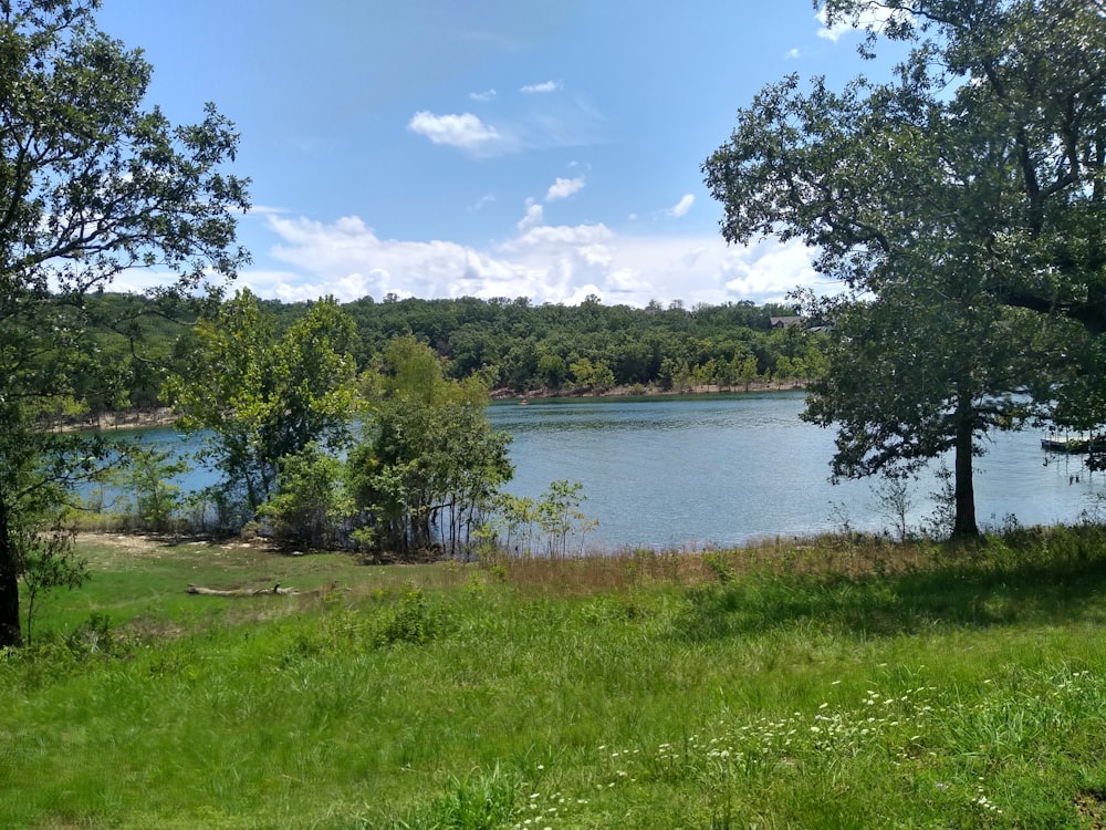 green grass field near body of water during daytime