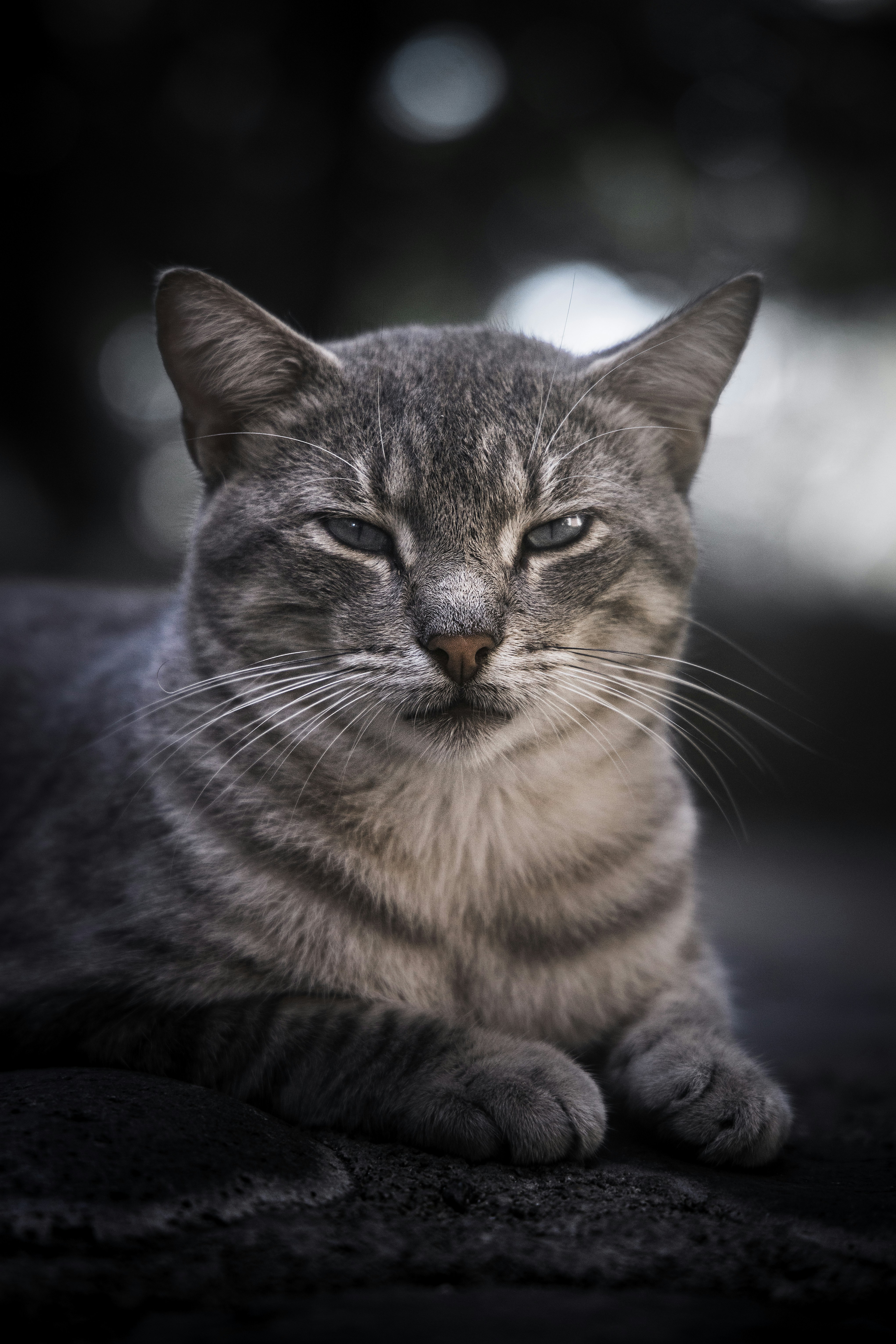 Photo by mattkerslake