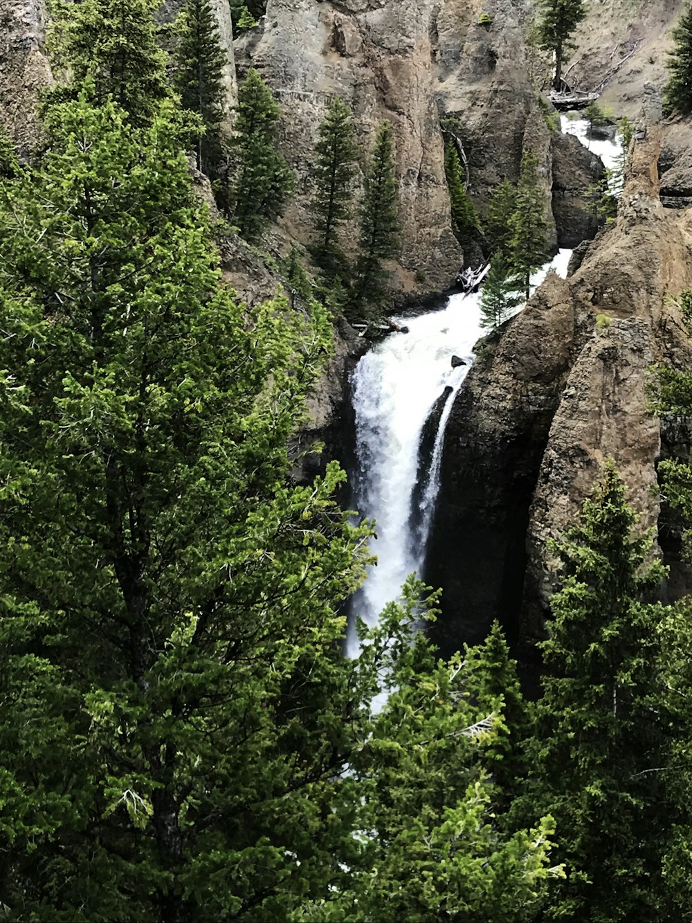 waterfalls in the middle of green trees