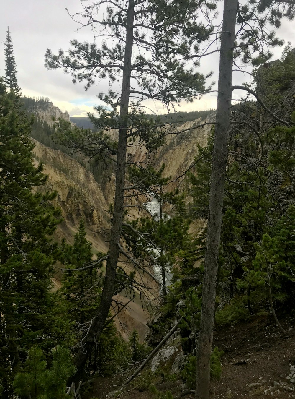 green trees on brown mountain under white clouds and blue sky during daytime