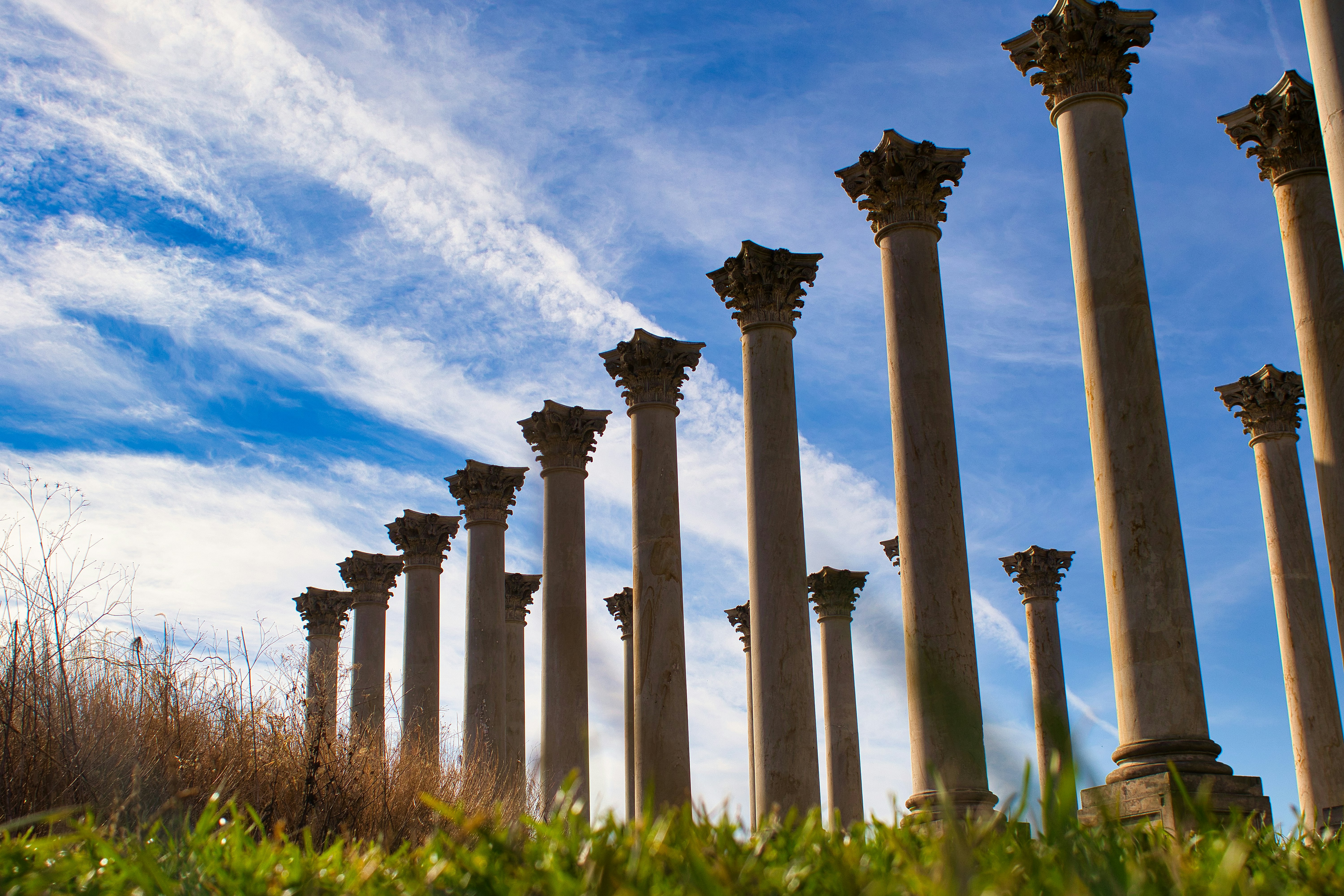 Pillars of Resilience: Strategies for Building a Robust Business