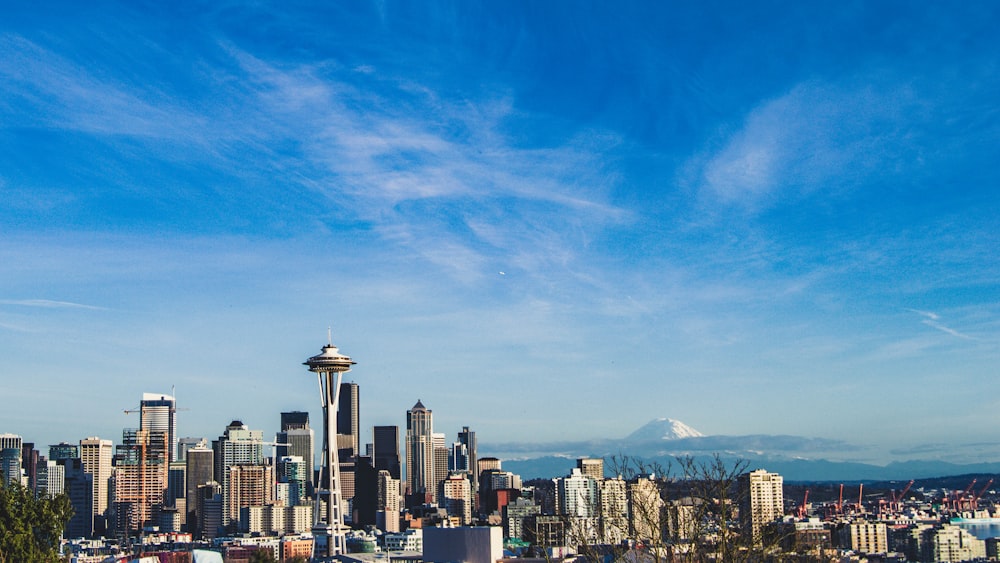 city skyline under blue sky during daytime