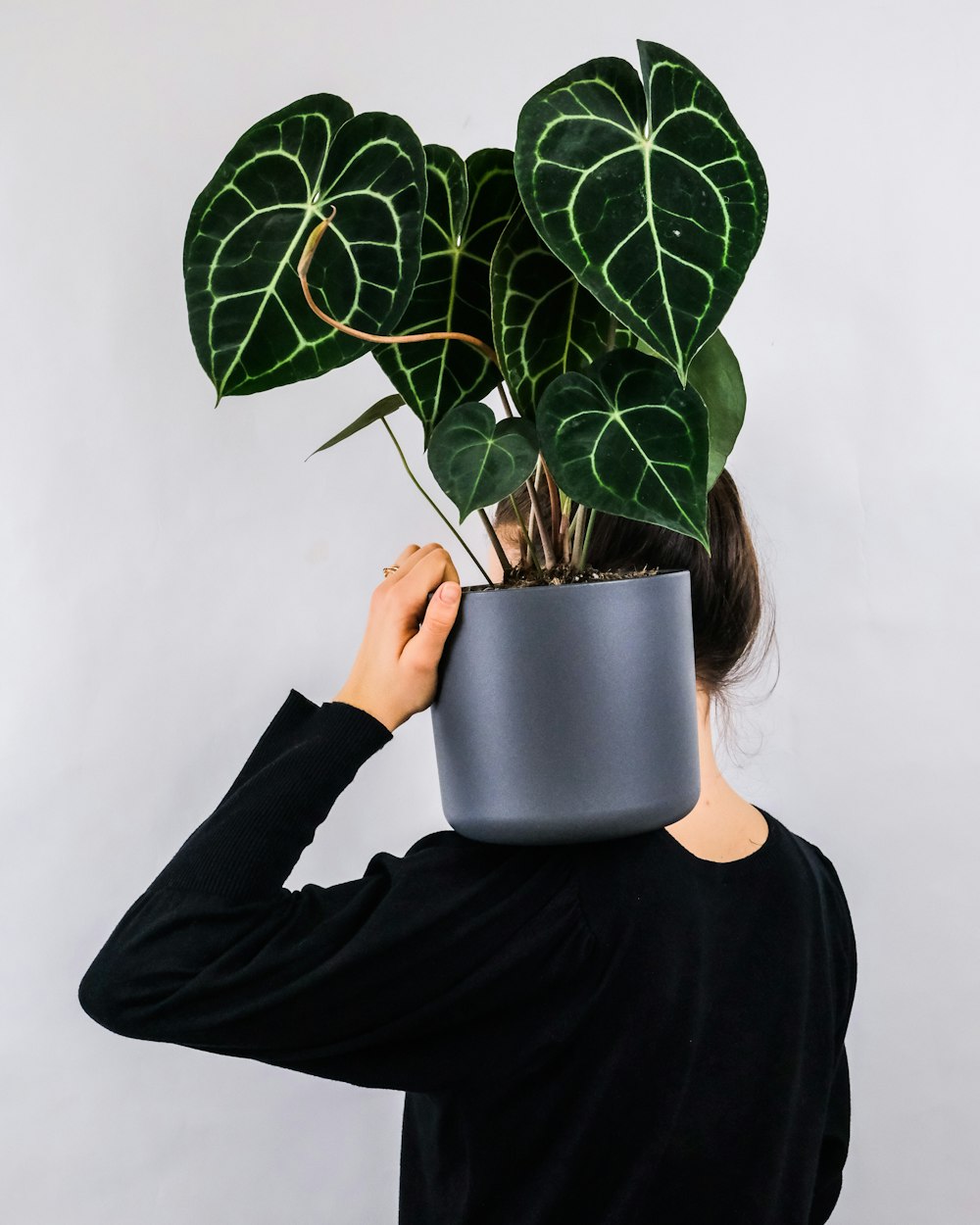 woman in black long sleeve shirt holding white ceramic mug with green plant