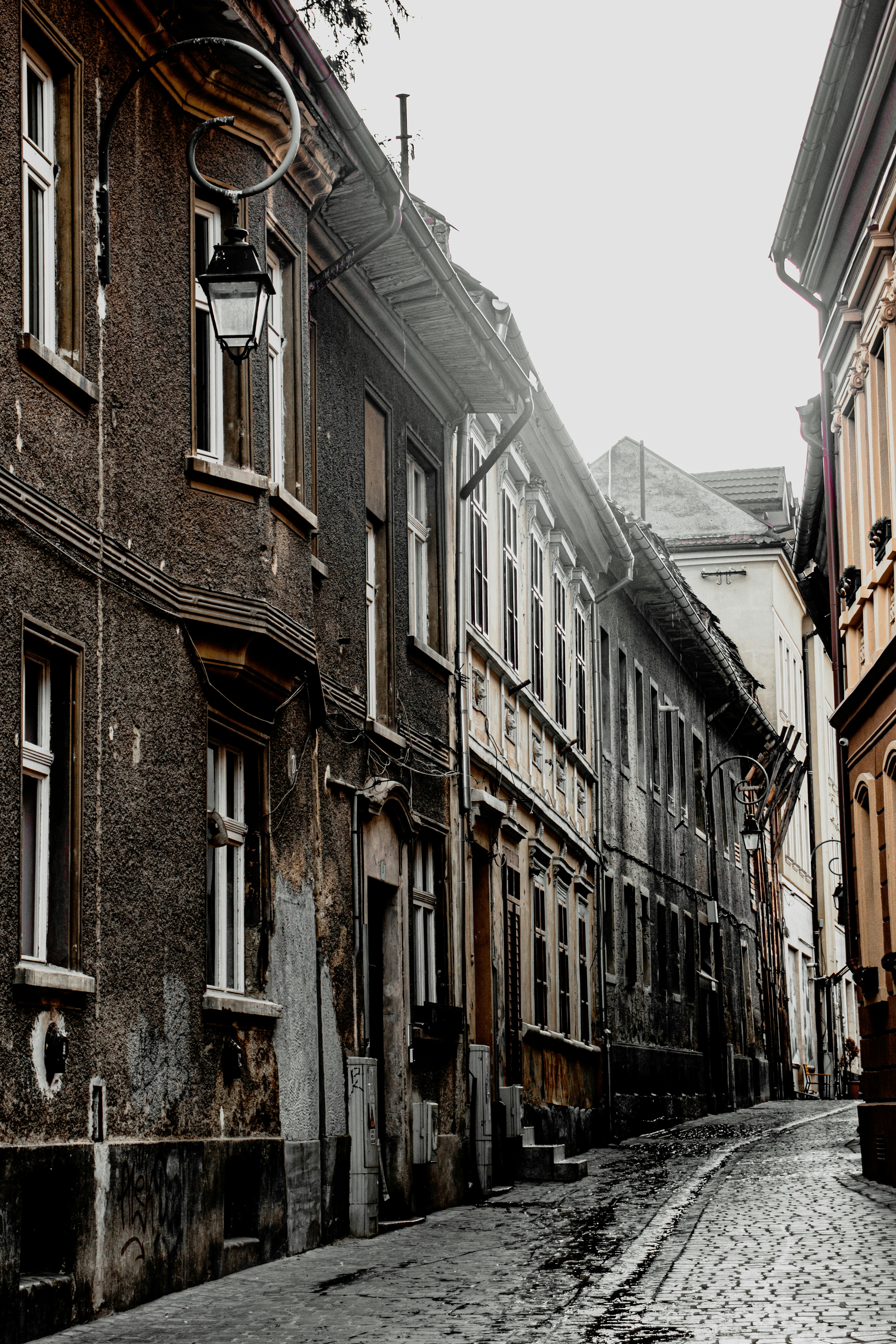 Photo by stefan_nutu