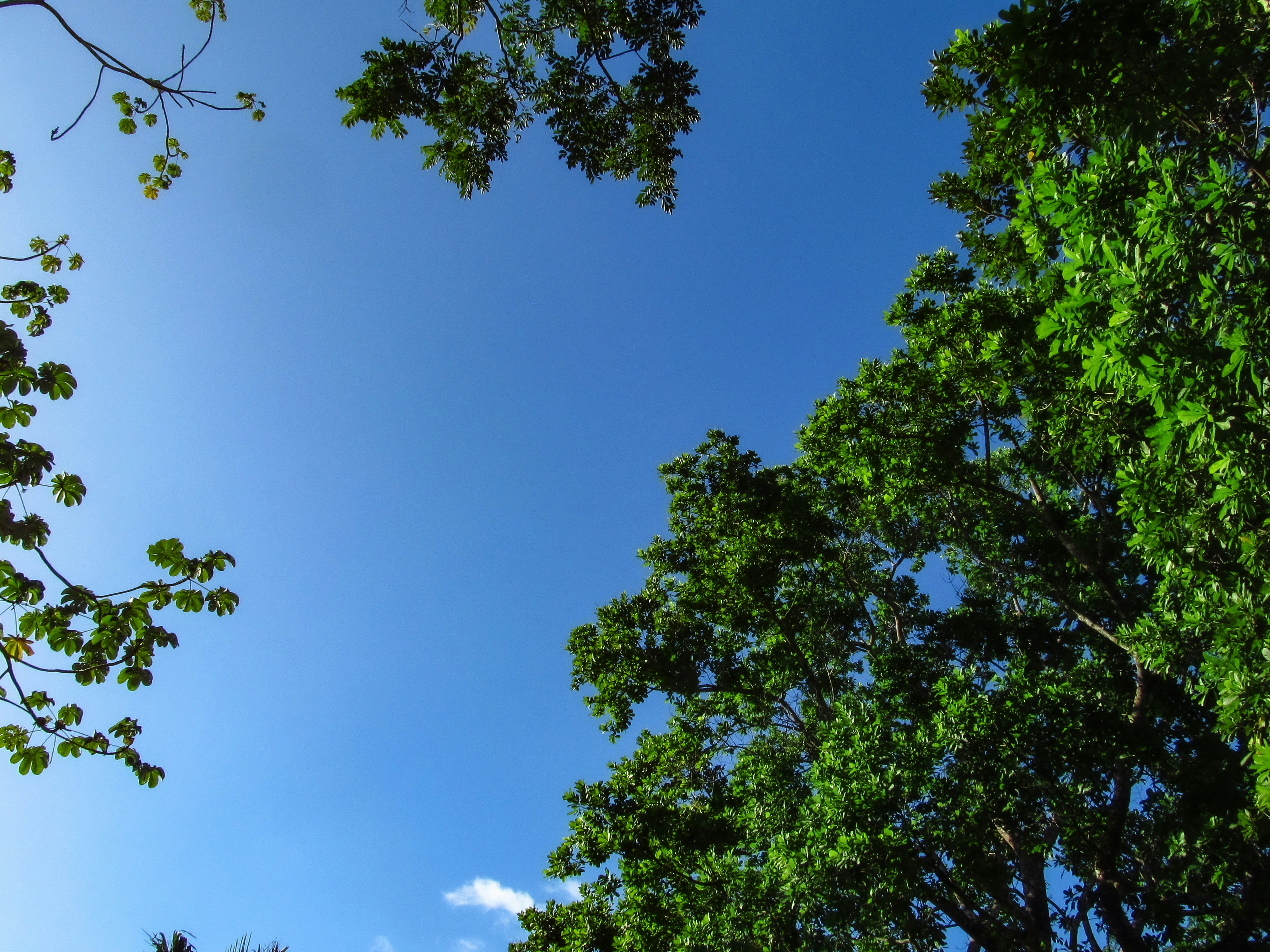 Photo by anibal_paradisi