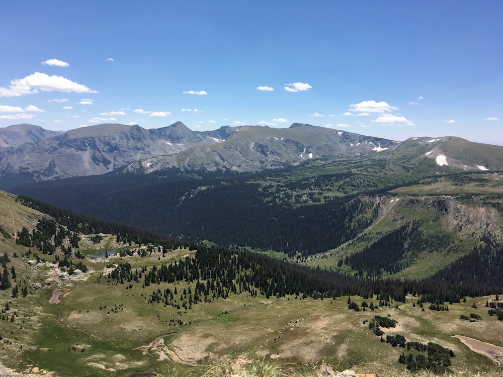 árvores verdes na montanha sob o céu azul durante o dia