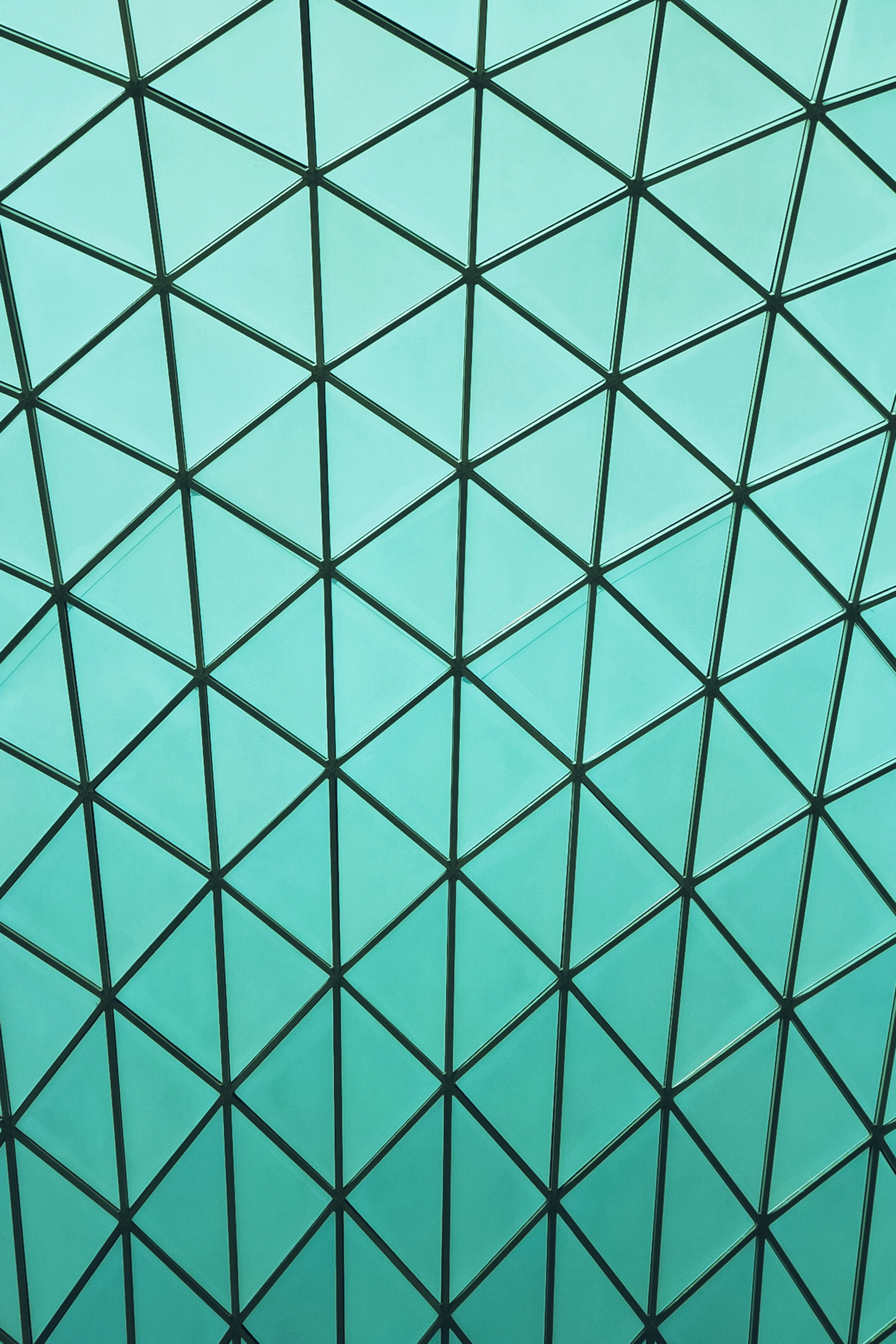 Photo by sebastiaanstam