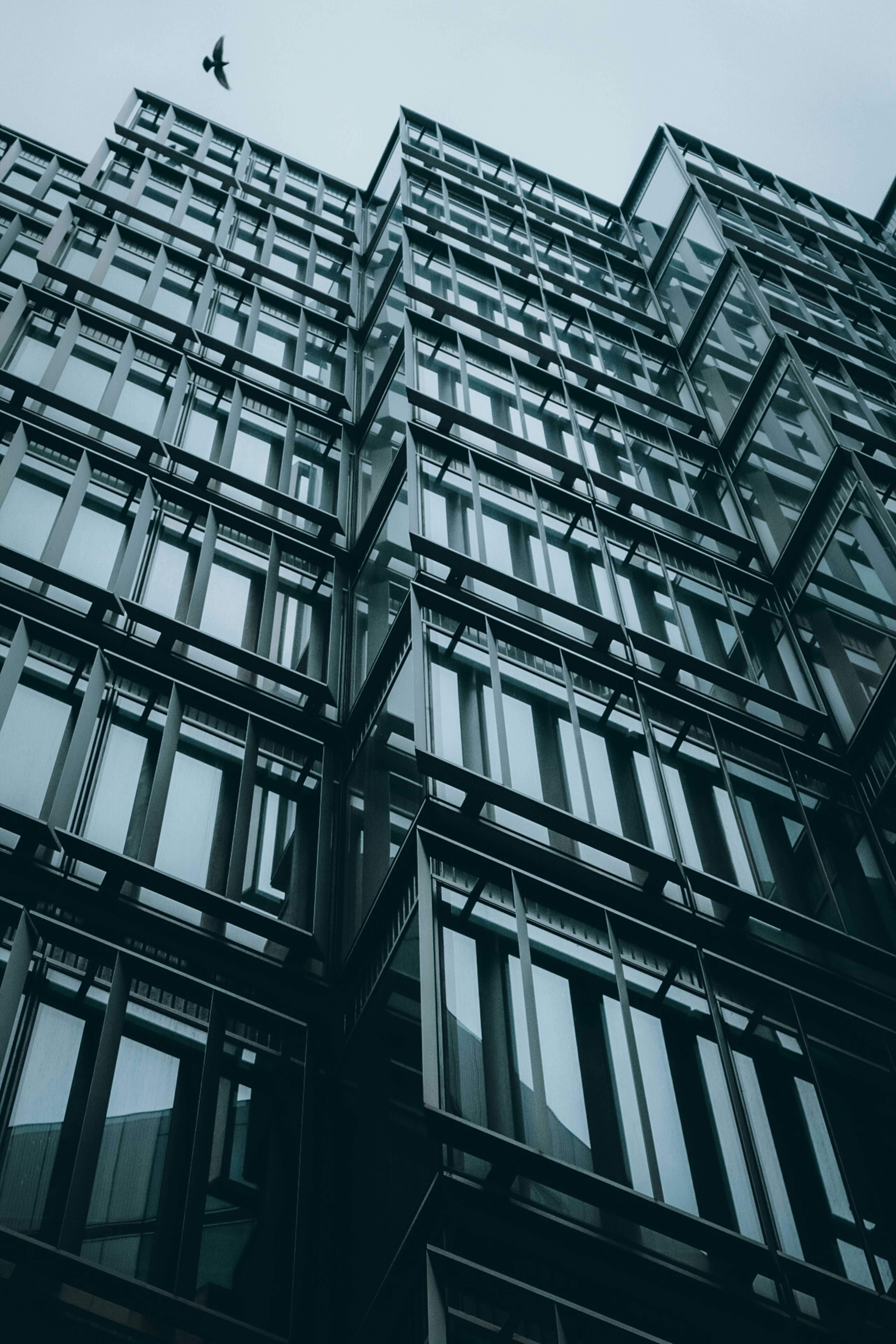 Photo by sebastiaanstam