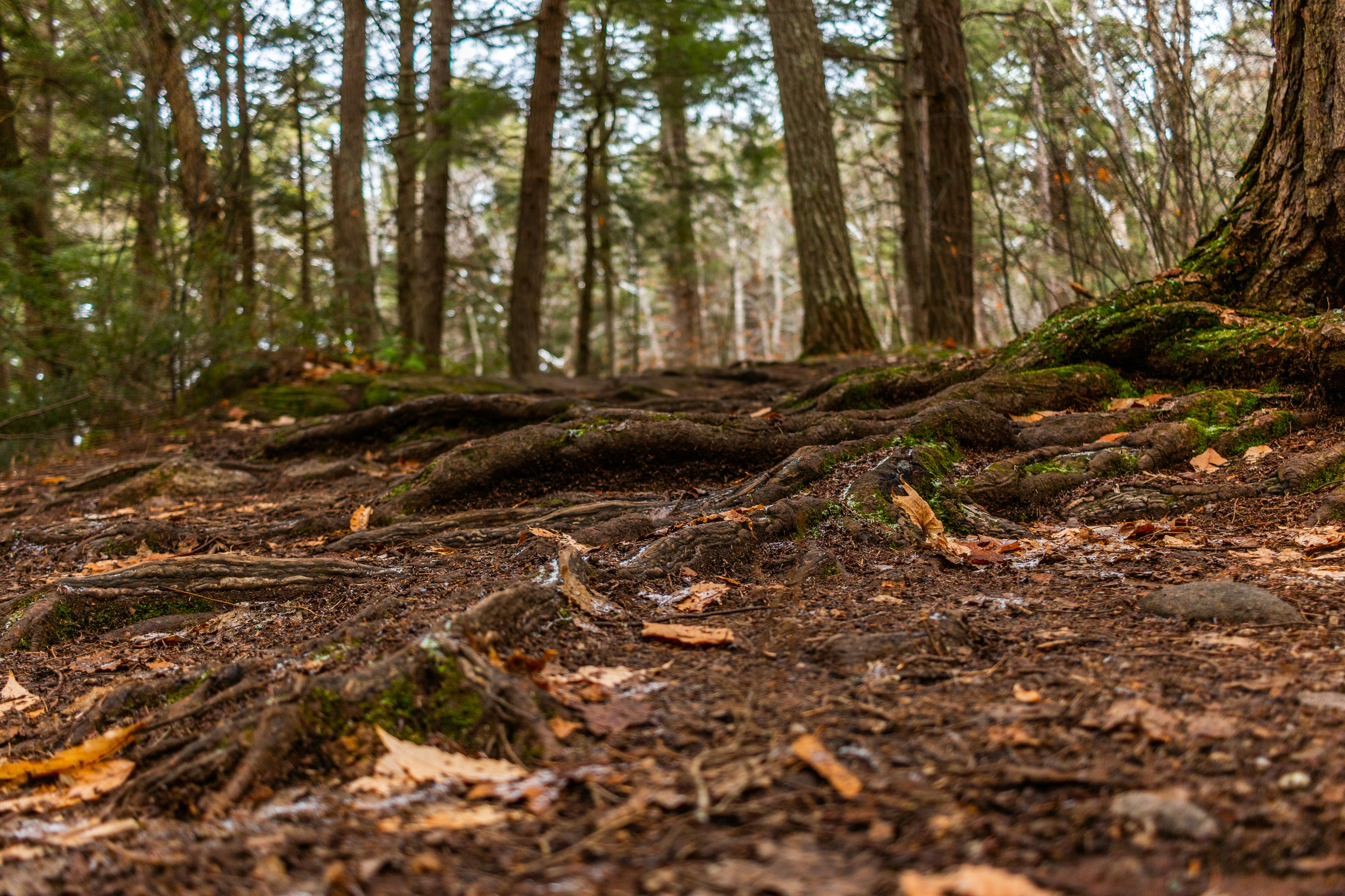 Photo by son_of_media