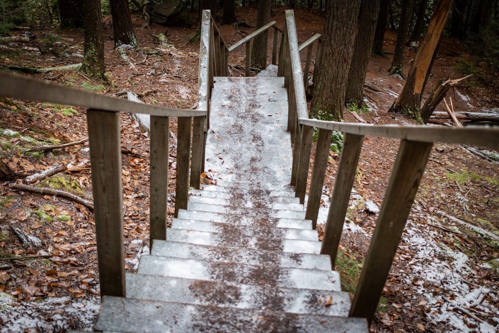 brown wooden staircase between green trees during daytime