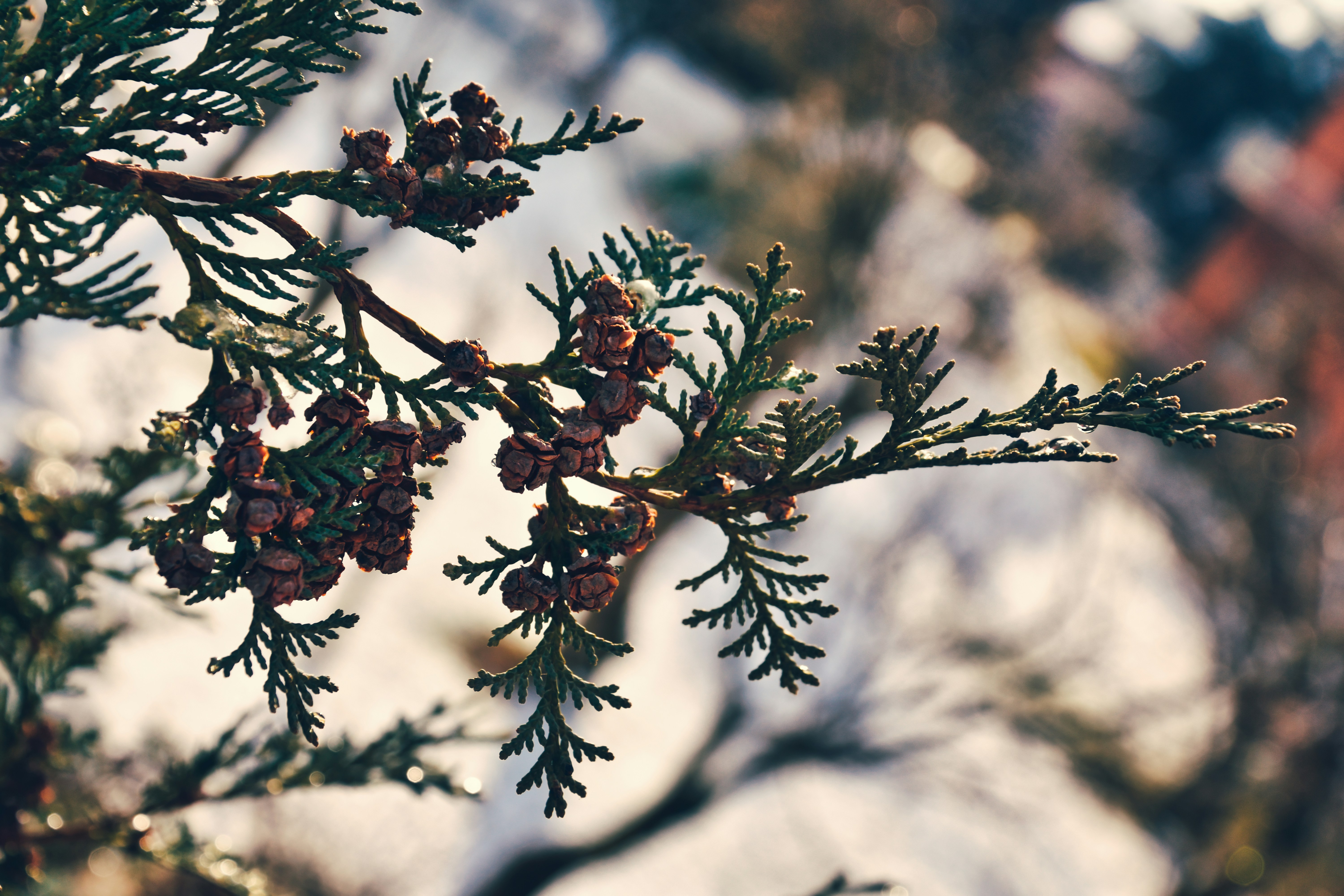 Photo by simo__zabov