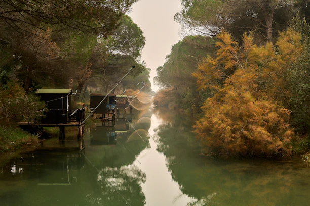 A serene river winding through pine trees at dawn with a guide and an angler preparing their gear.