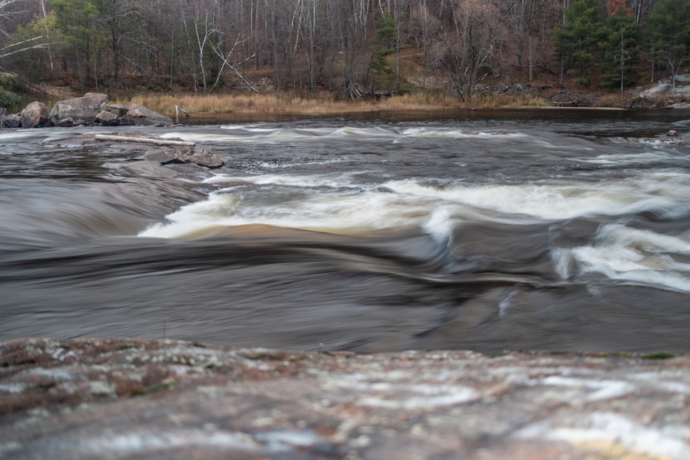 water falls in the woods