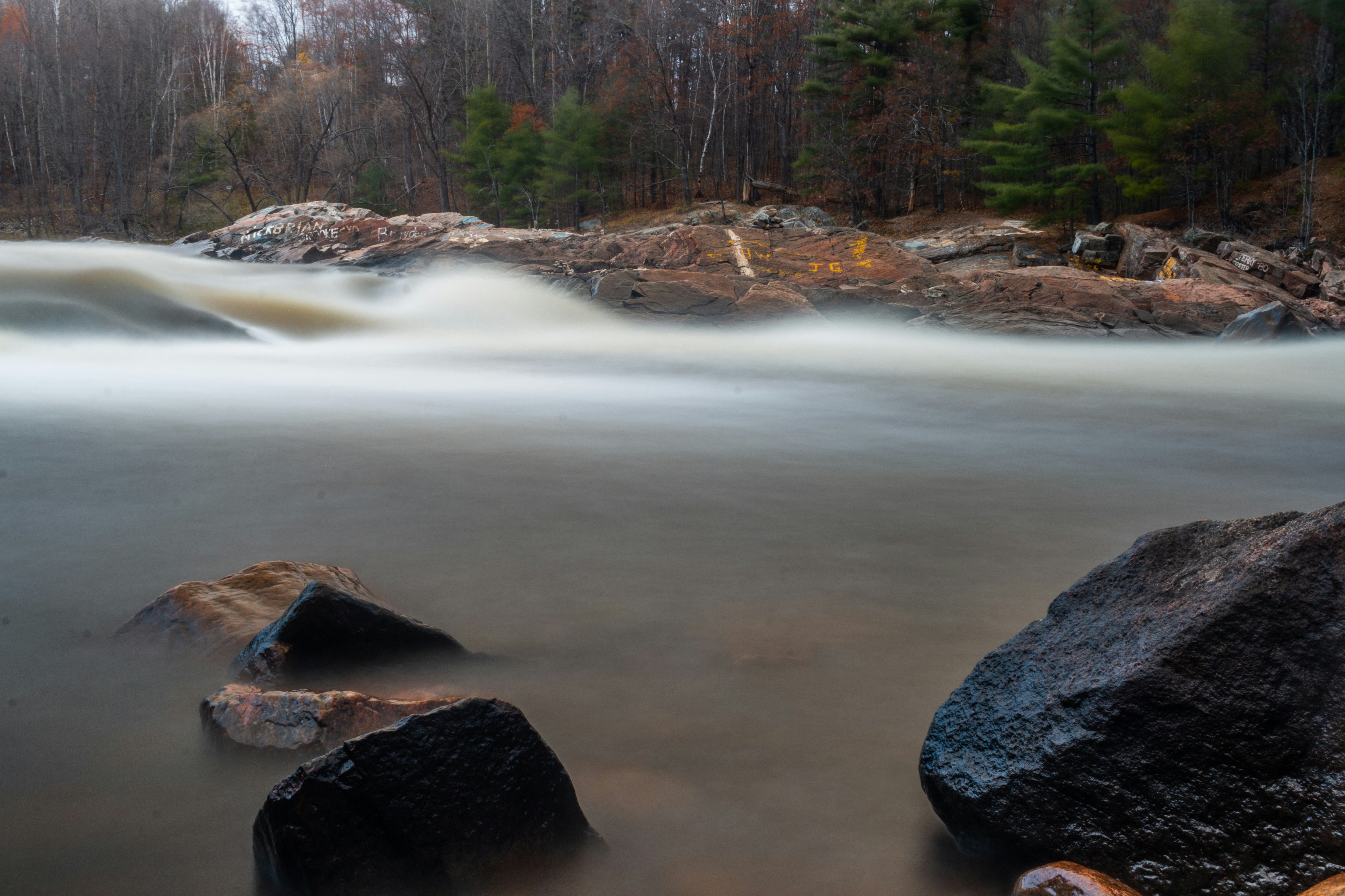 Photo by son_of_media