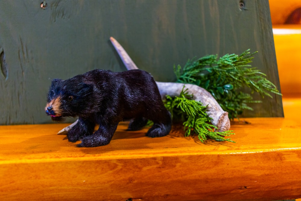 black bear on brown wooden table