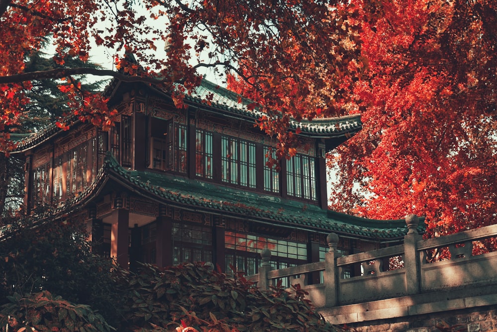 red and brown trees near brown wooden house