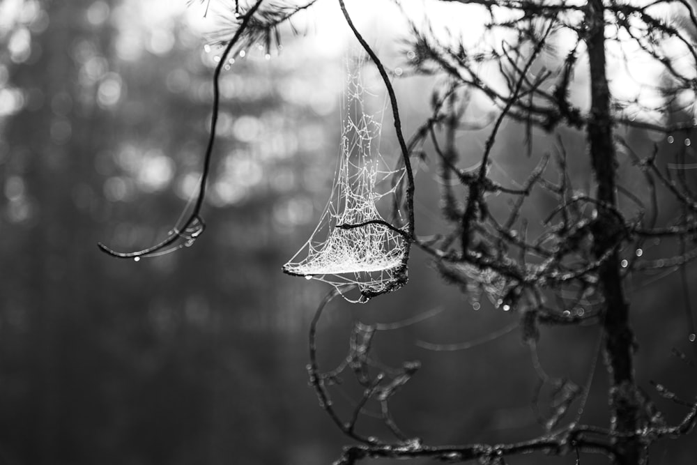 grayscale photo of hanging lamp