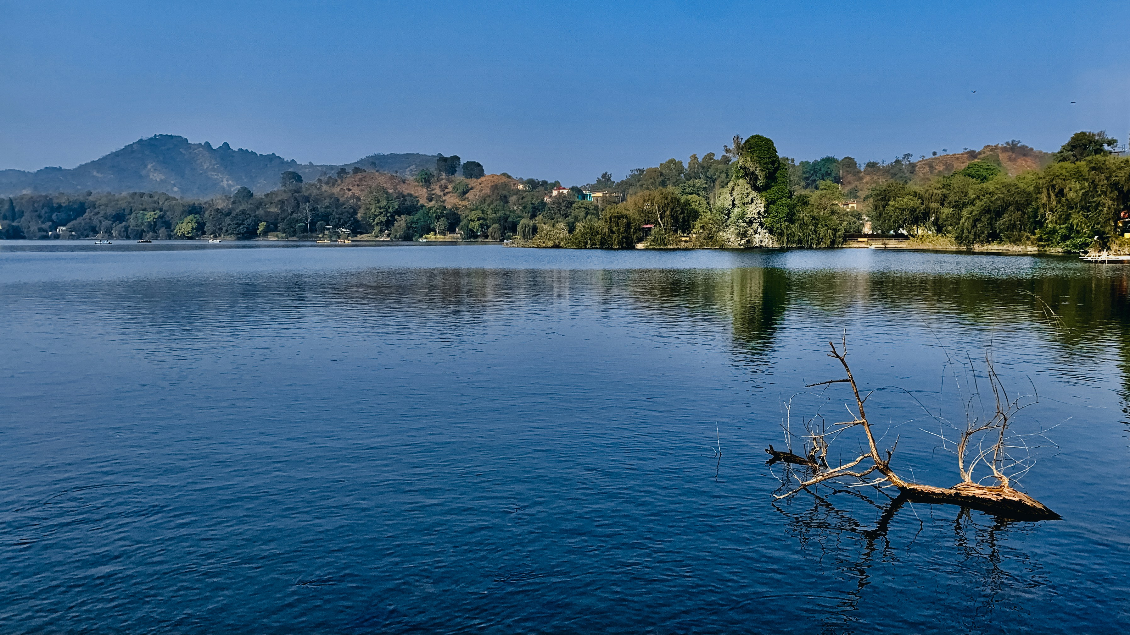 Photo by arham_jain48