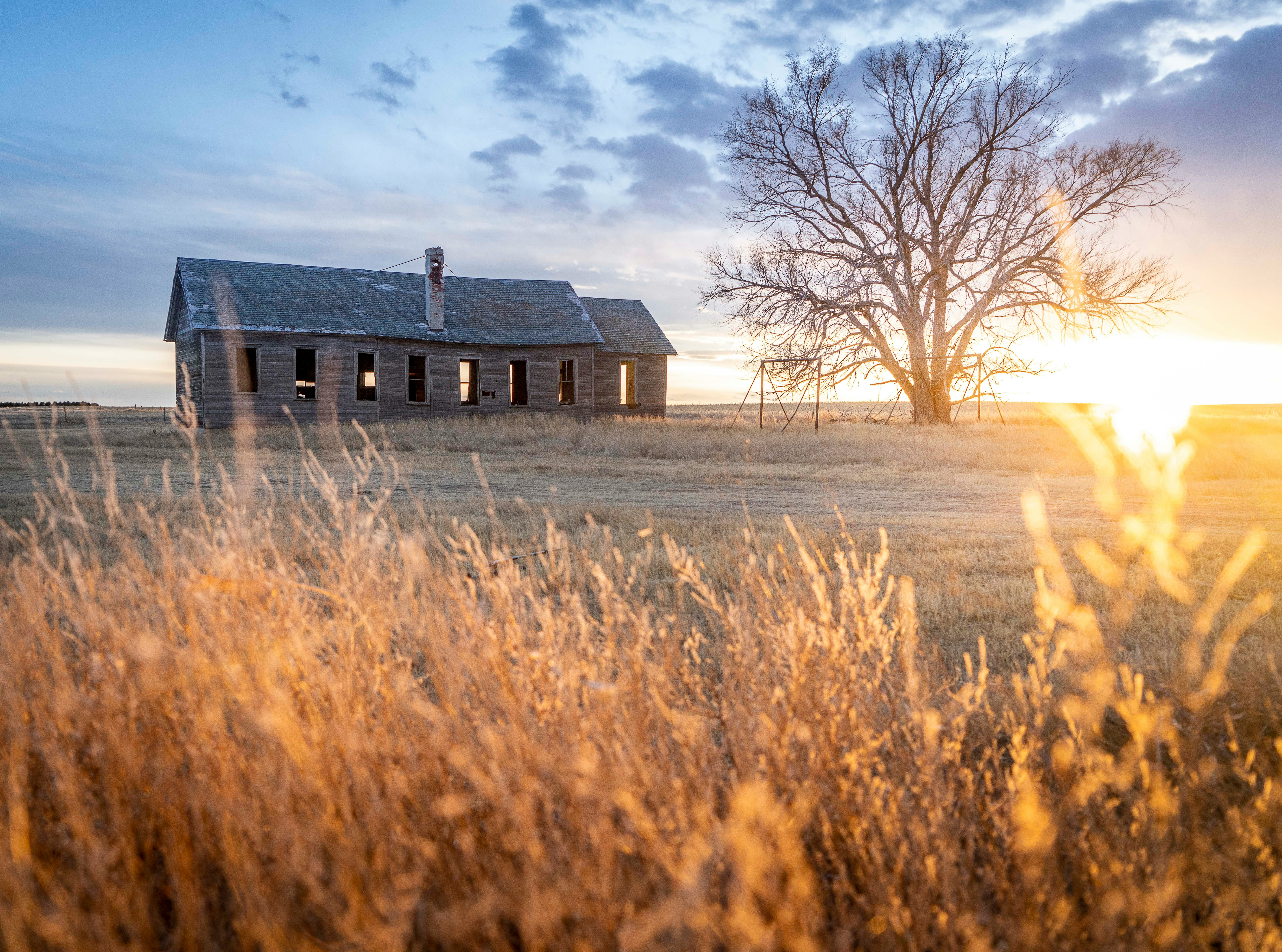 brown and black house on brown grass field under blue sky during daytime