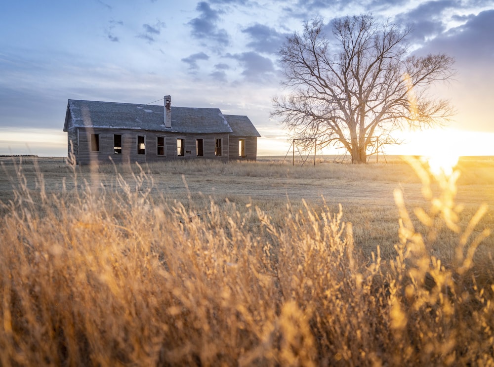 brown and black house on brown grass field under blue sky during daytime