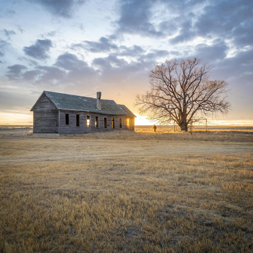 brown wooden house near bare trees under cloudy sky during daytime