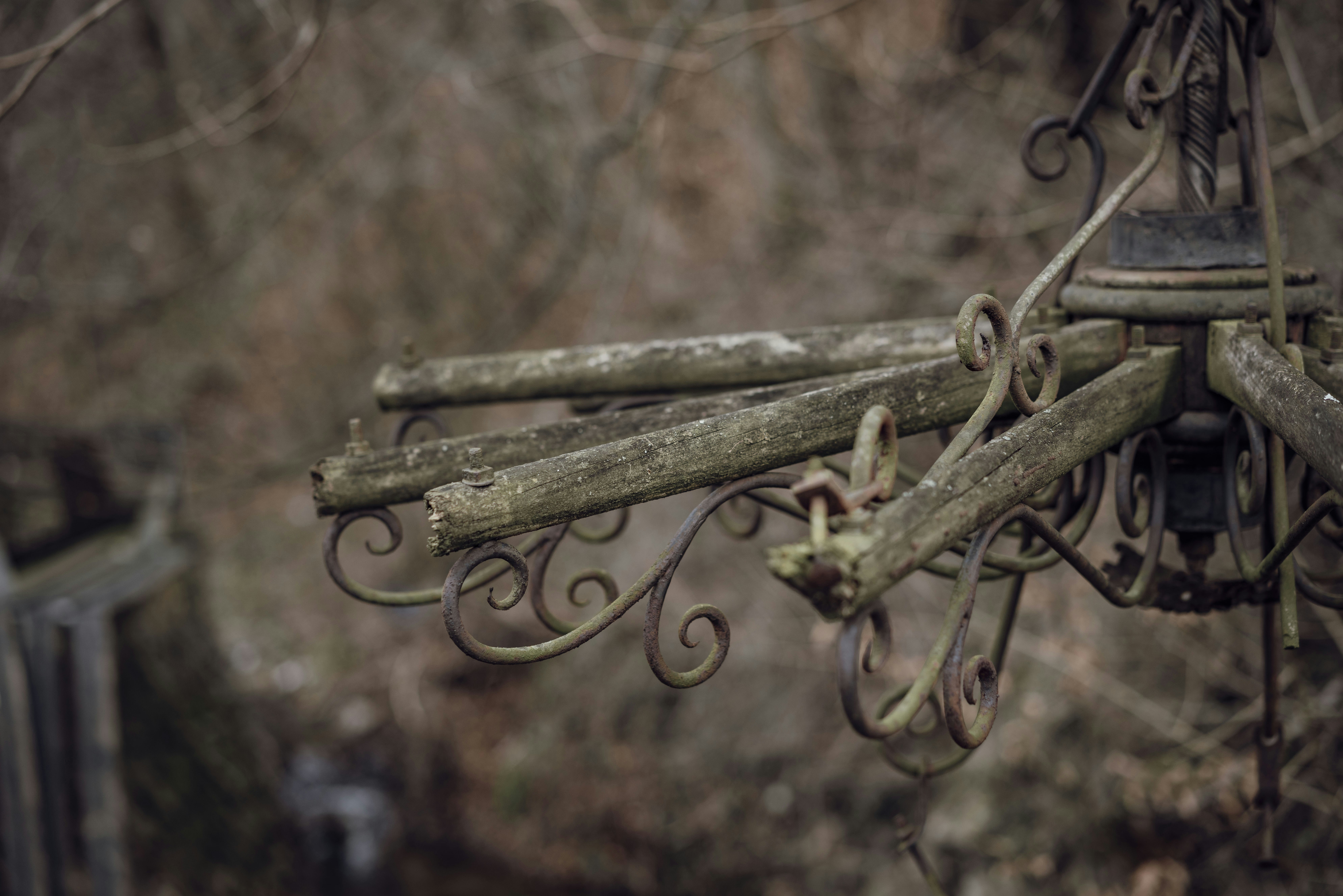 5 of the most eco-friendly hotels in Elizabeth