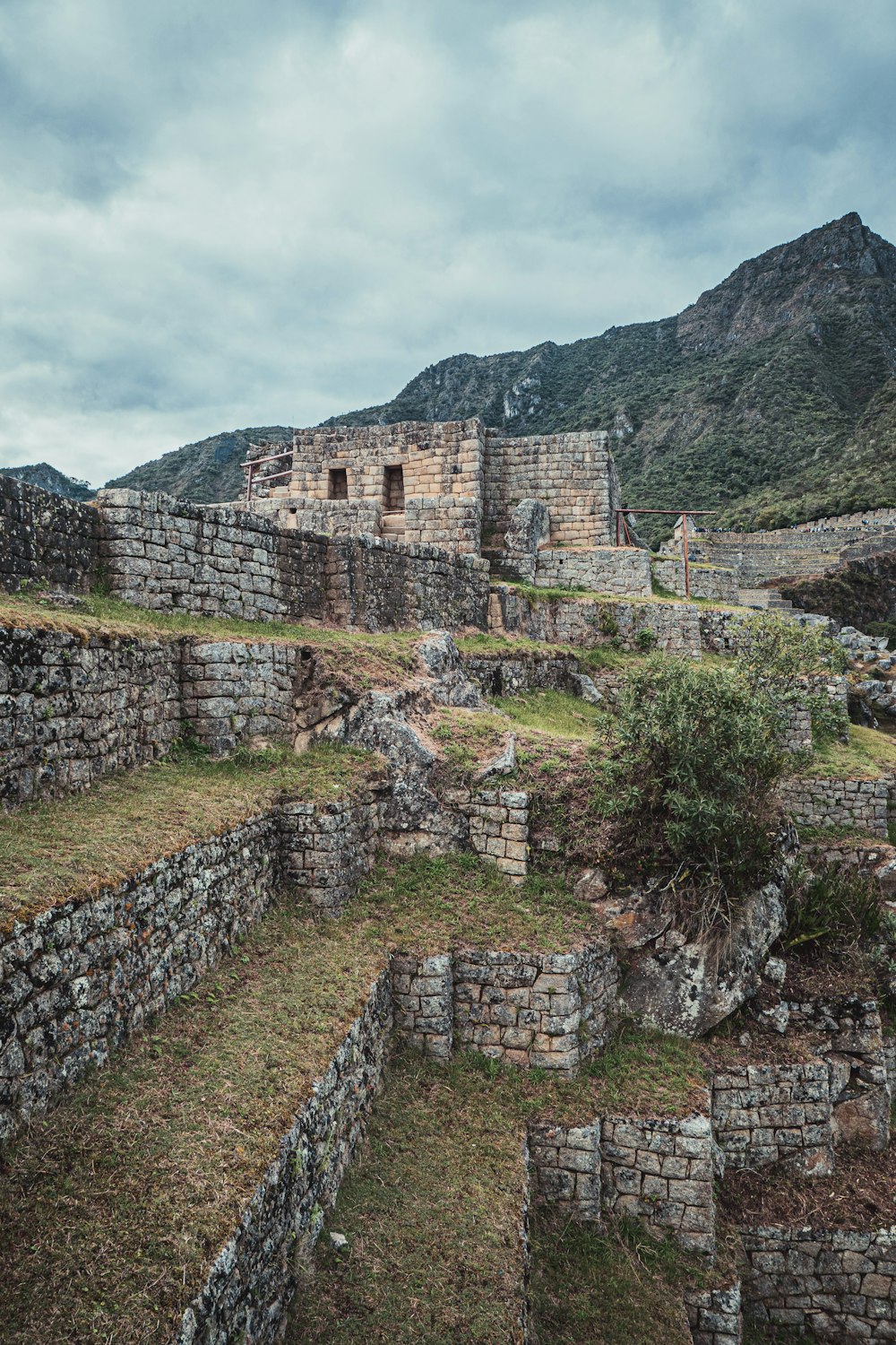 Pared de ladrillo marrón en un campo de césped verde durante el día