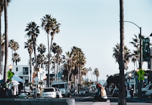 A lively street in Ziguinchor lined with palm trees and bustling with locals and visitors.