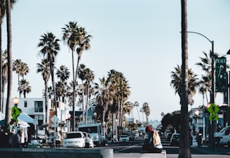 A lively street in Ziguinchor lined with palm trees and bustling with locals and visitors.