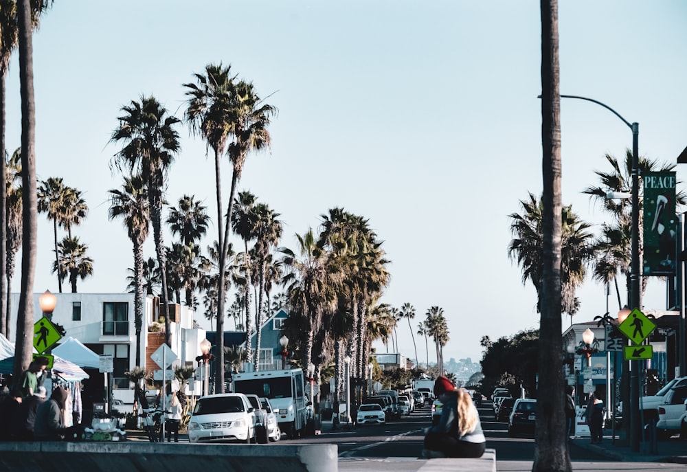 people walking on street during daytime