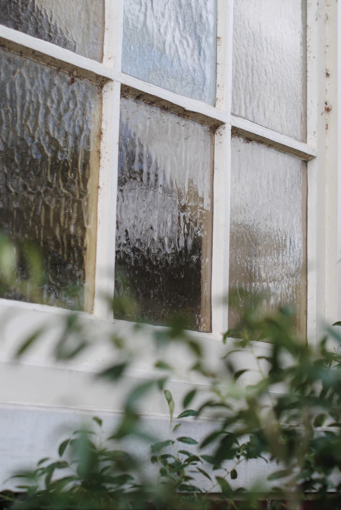 White wood-framed window