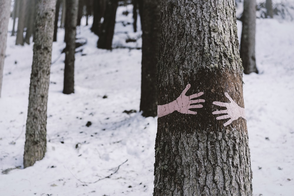 brown tree trunk with snow