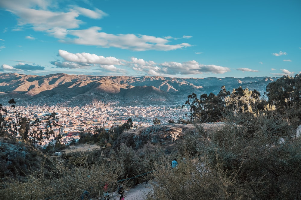 Vista aérea de árboles y montañas durante el día