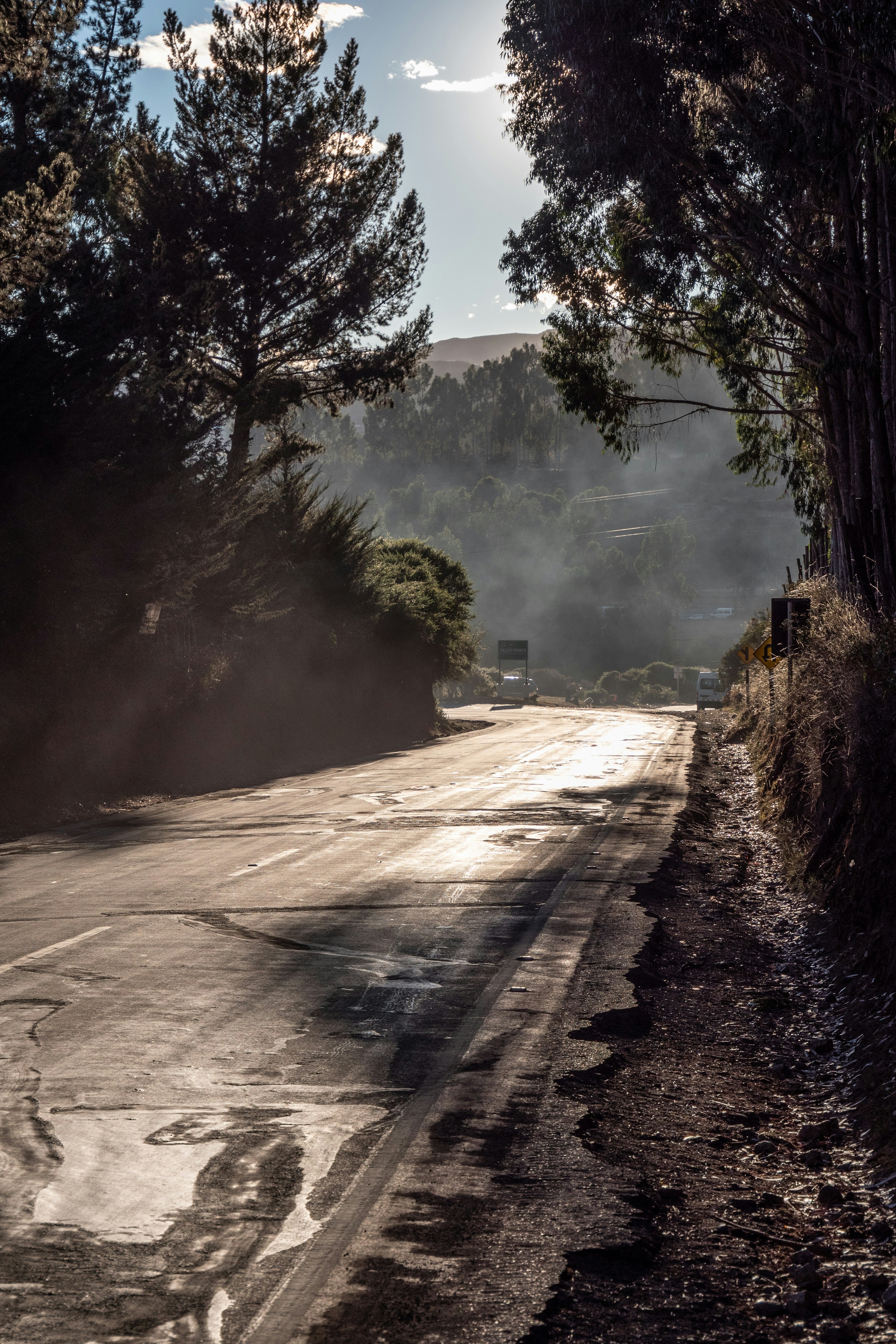 green trees near road during daytime