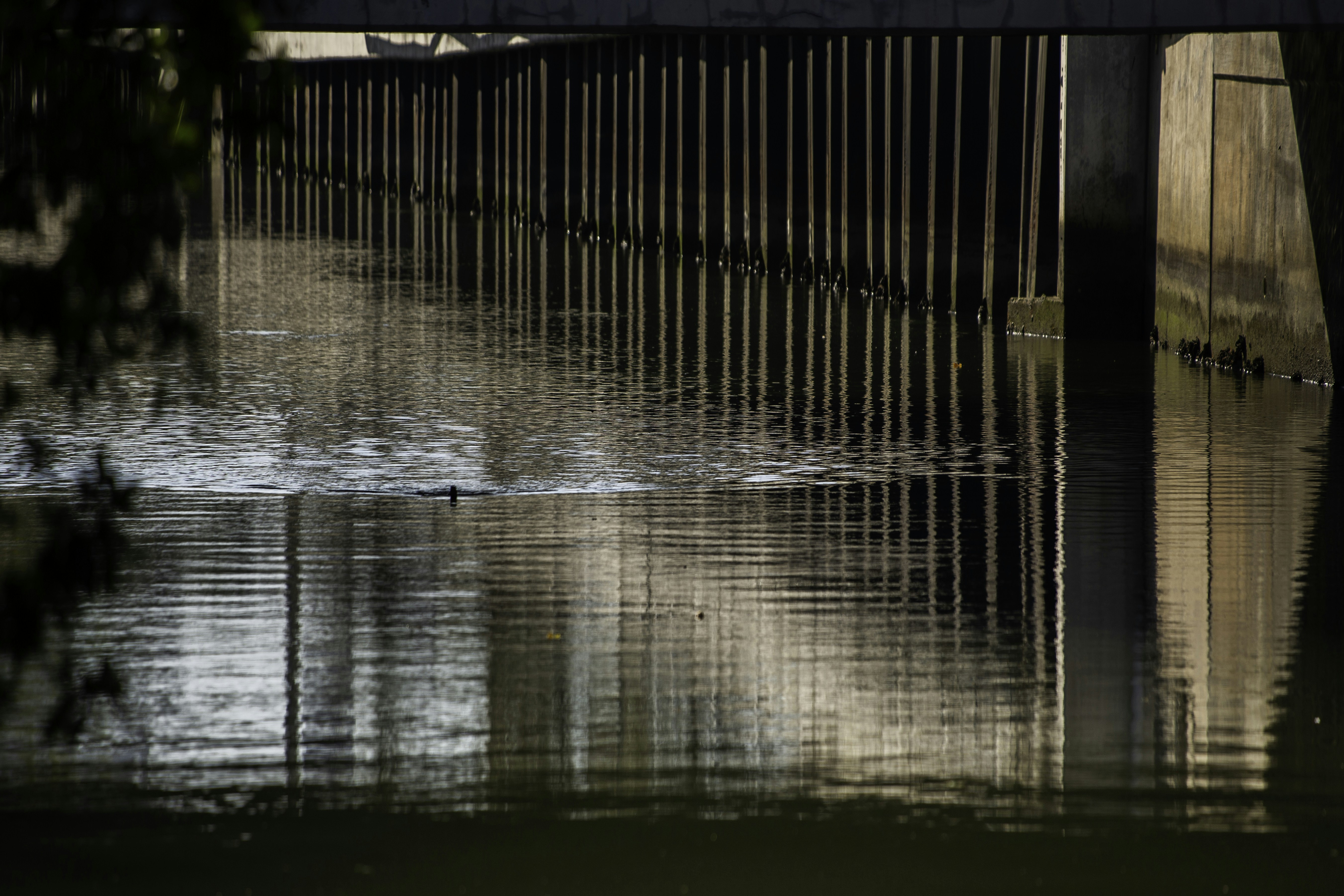 Photo by hectorfalcon