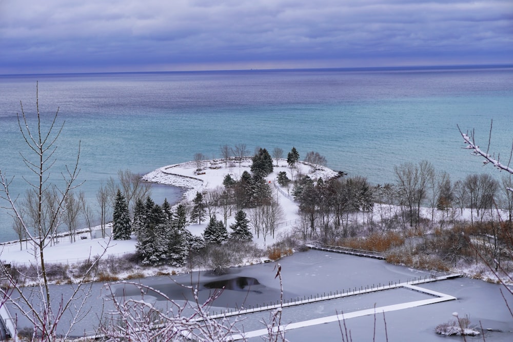 snow covered trees near body of water during daytime