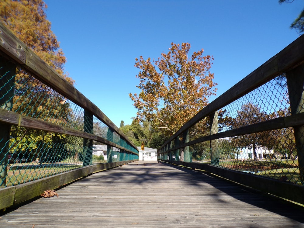 brown wooden bridge near trees during daytime