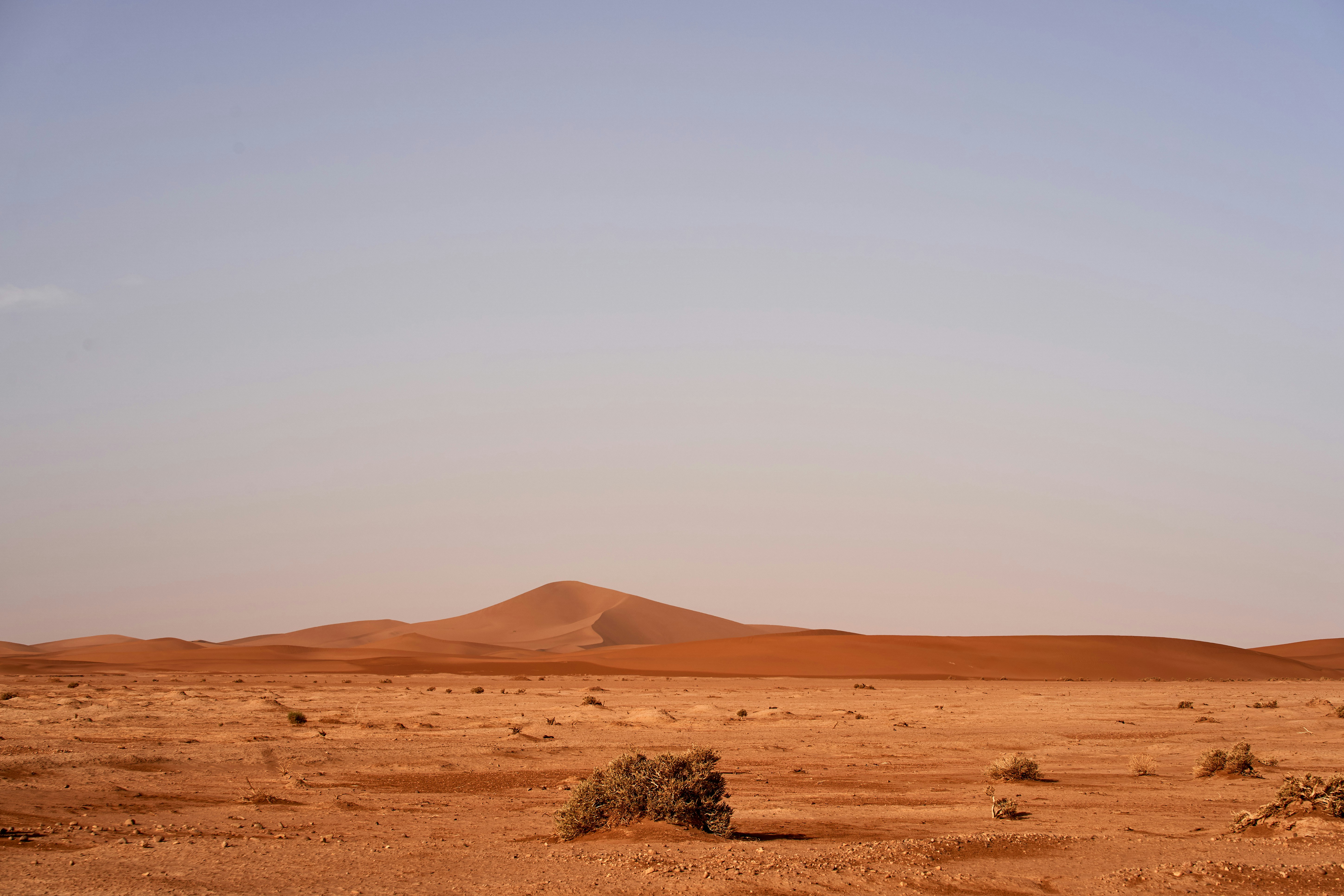 Photo by wolfgang_hasselmann