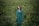 woman in blue long sleeve dress standing on green grass field during daytime