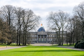 A grand building with a domed roof, prominently featuring a flag on top, is situated in a park-like setting. The scene is framed by tall, leafless trees and a well-manicured lawn in the foreground. The architecture appears classical with columns and symmetrical windows.