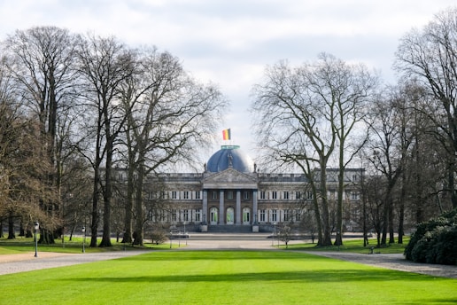 A grand building with a domed roof, prominently featuring a flag on top, is situated in a park-like setting. The scene is framed by tall, leafless trees and a well-manicured lawn in the foreground. The architecture appears classical with columns and symmetrical windows.