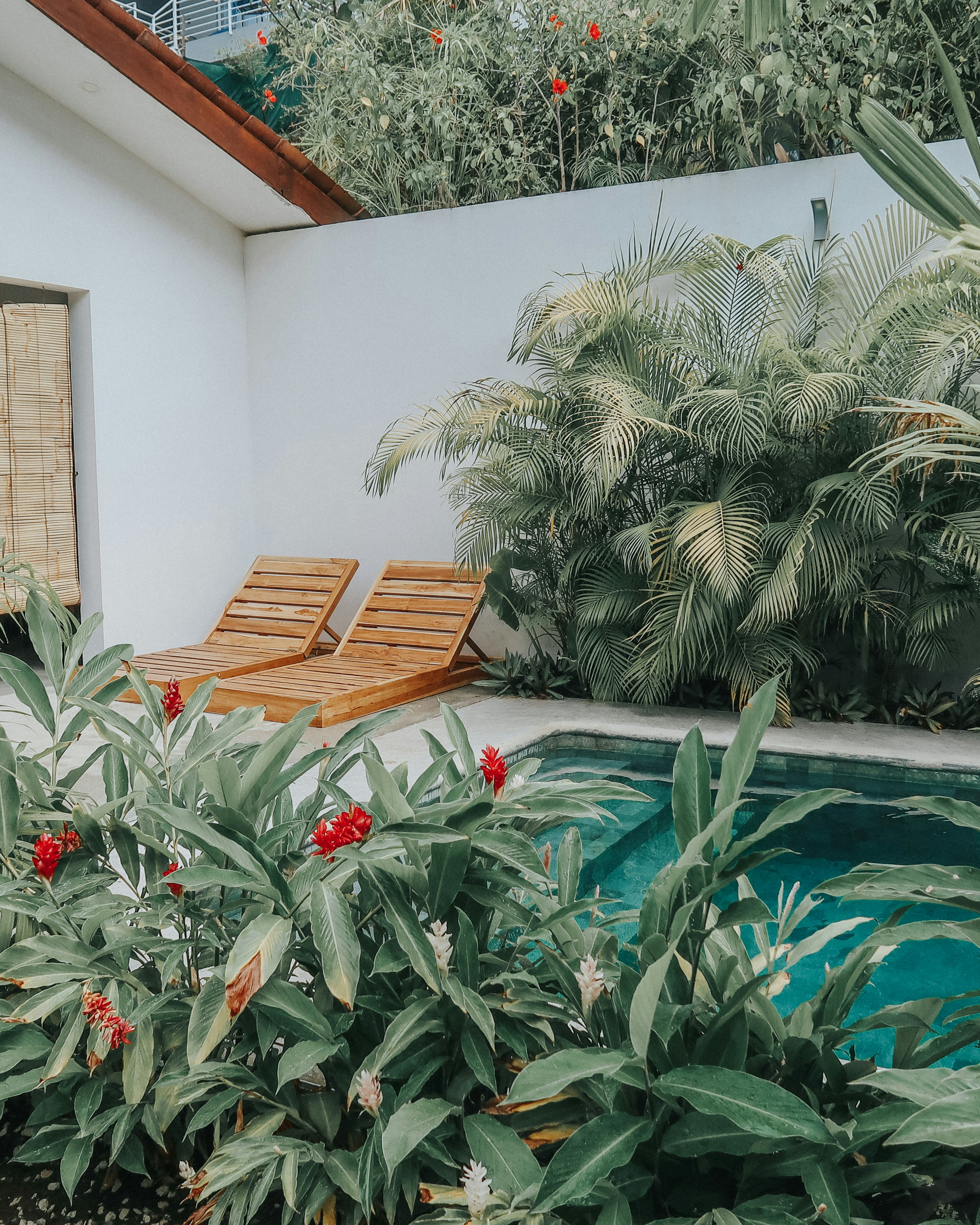 green palm tree near brown wooden bench